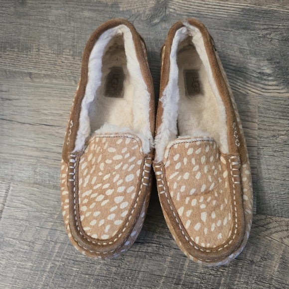 UGG Ansley Women's Brown and Cream Slippers - Picture 1 of 7